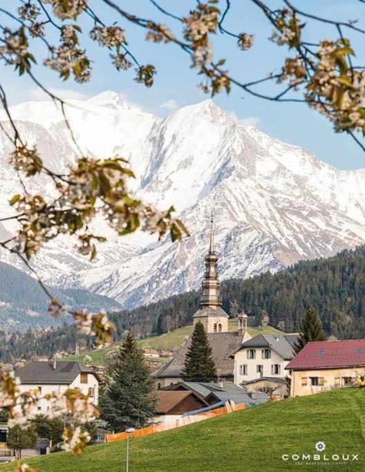 La Marmotte: Vue Mont Blanc, Terrasse, Parking Appartement *