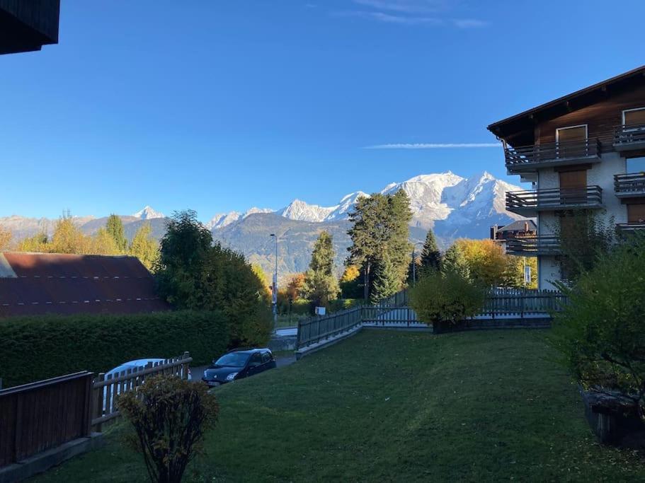 La Marmotte: Vue Mont Blanc, Terrasse, Parking