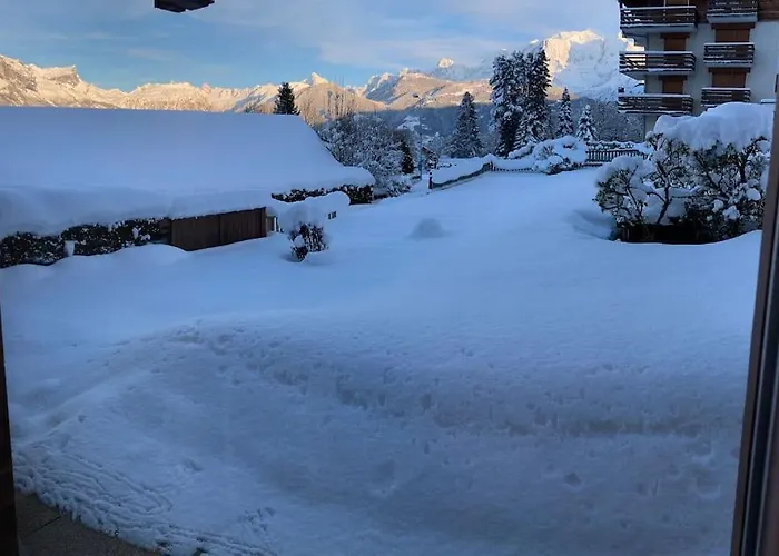 La Marmotte: Vue Mont Blanc, Terrasse, Parking