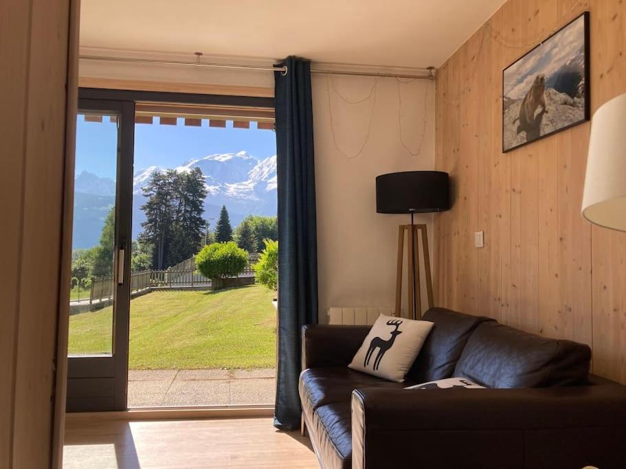 Apartment La Marmotte: Vue Mont Blanc, Terrasse, Parking Combloux