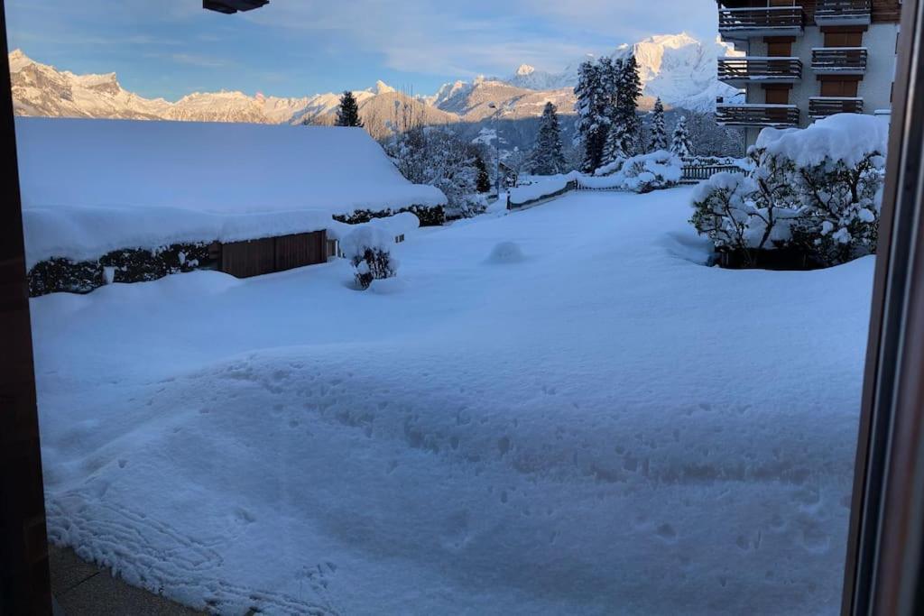 Apartment La Marmotte: Vue Mont Blanc, Terrasse, Parking Combloux